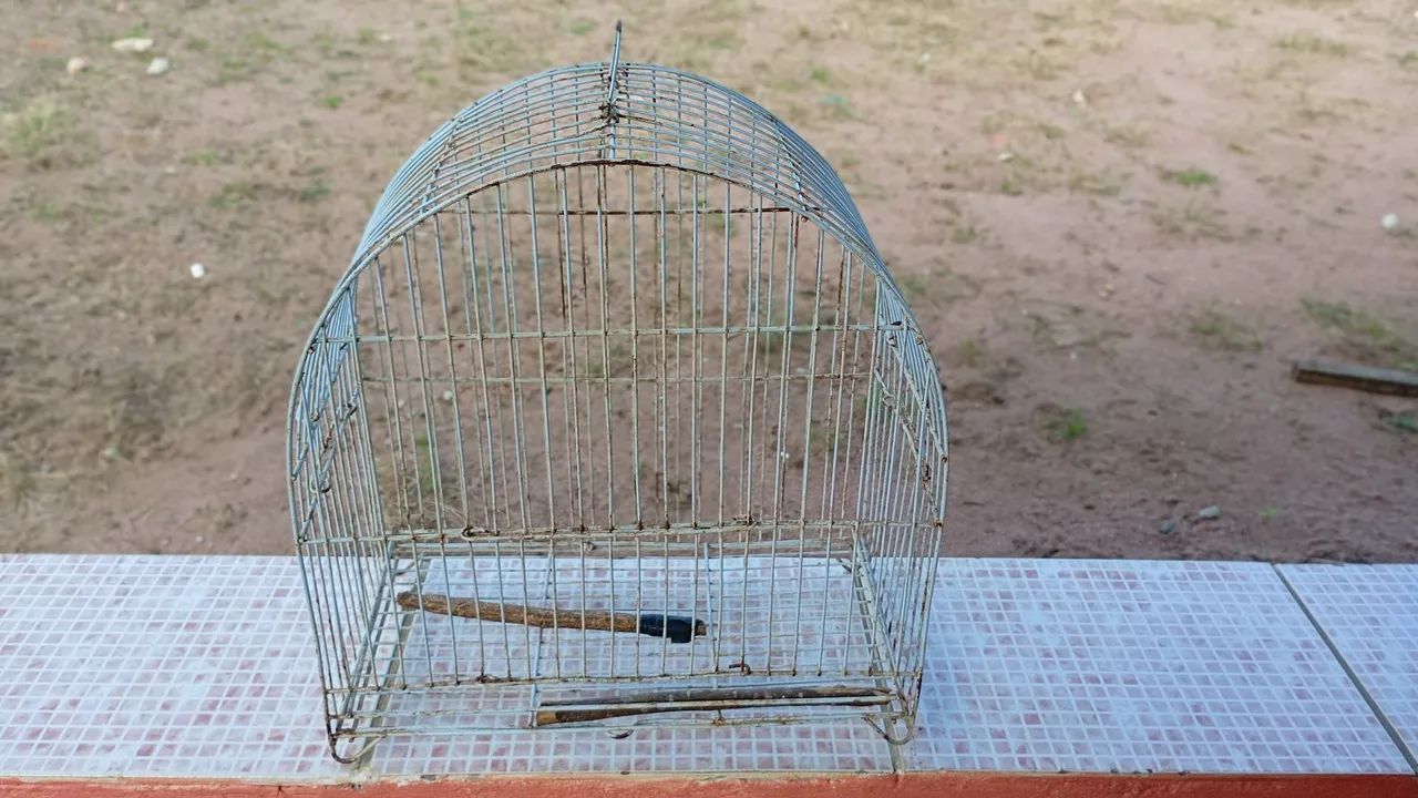 Gaiolas pra vender . - Foto 5