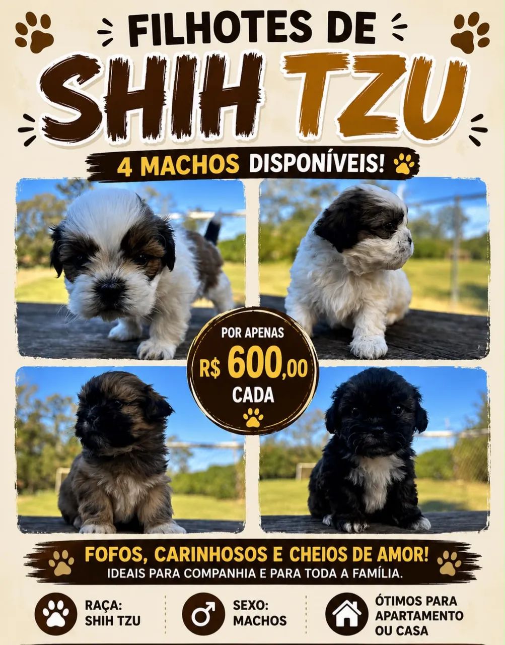 Cachorro