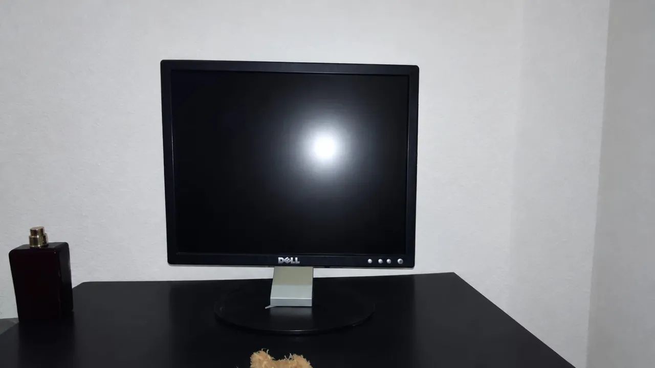 Monitor Dell 15 polegadas 75hz  tela tn