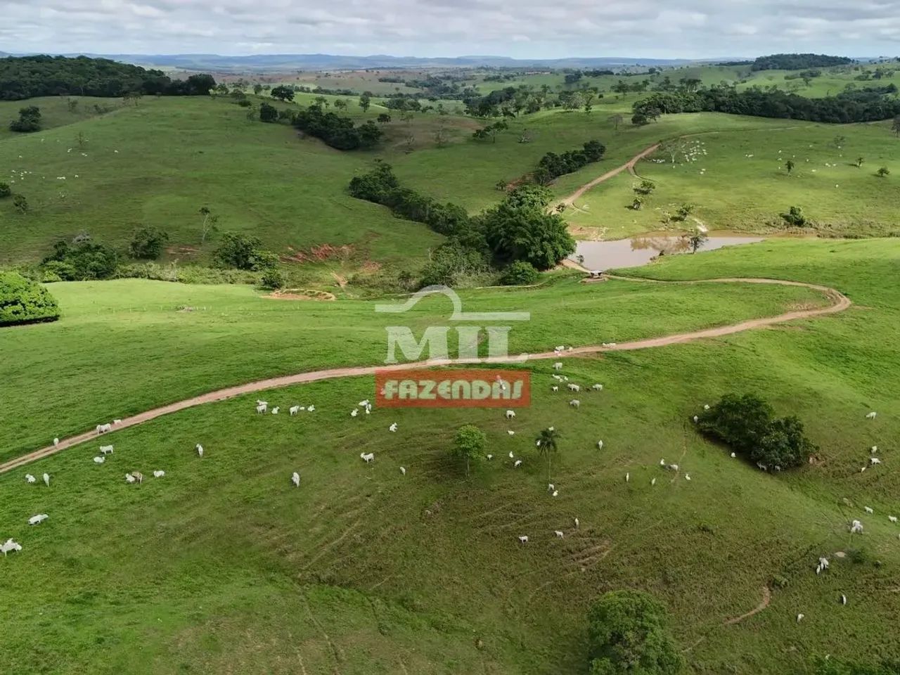 Fazenda 191 alqueires ( 924 hectares) ipameri -GO - Foto 4