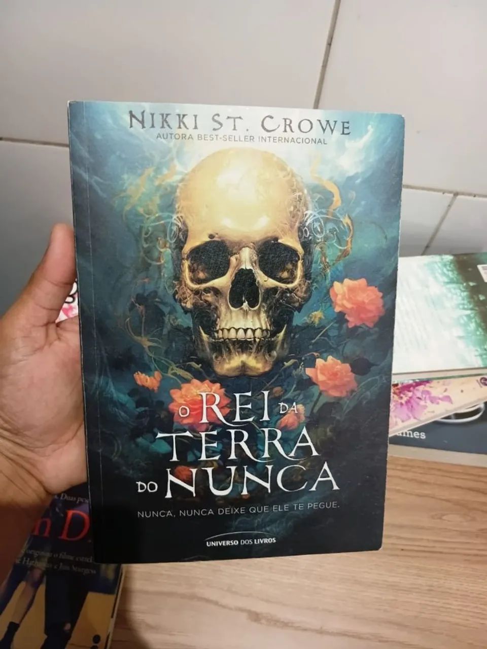 O rei da terra do nunca
