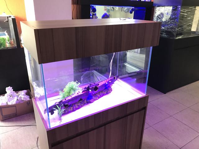 Aquario 200 litros + Móvel - Novo Direto da Fábrica - Foto 2
