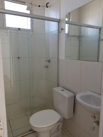 Apartamento - Foto 12