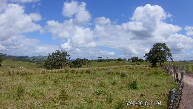 Vendo Fazenda na Cidade de Bonito - Pe com 72 hect. / represa do prata - Foto 13