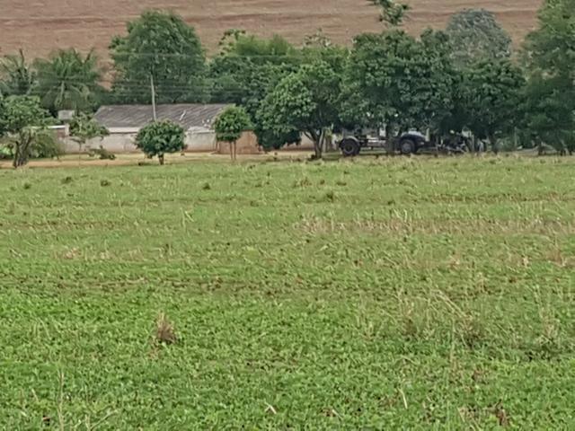 Chácaras em ibiporã, a partir de r$ 80.000,00