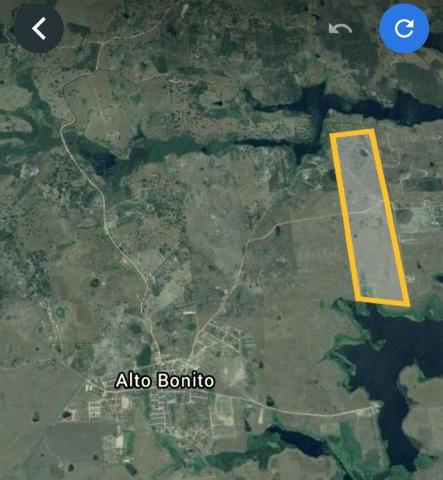 Vendo Fazenda na Cidade de Bonito - Pe com 72 hect. / represa do prata - Foto 14