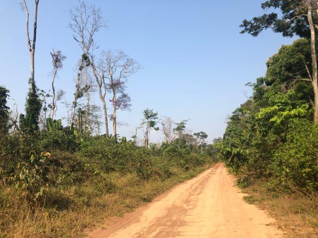 Ocasião.500 hectares, terra plantio de Soja, região vale guaporé- MT - Foto 3