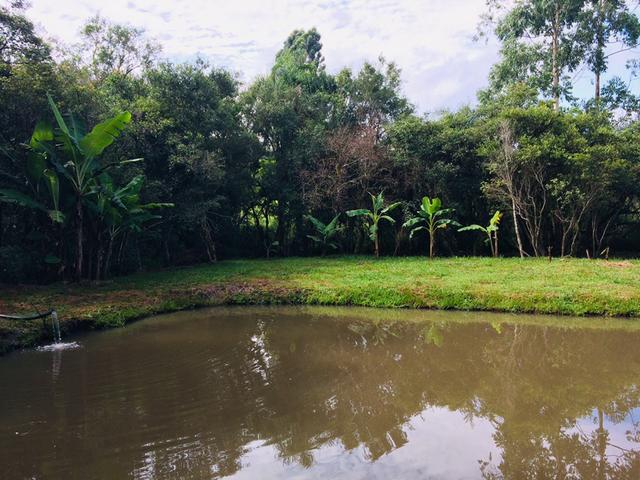 Chácara Urbana formada no Ganchinho - Foto 12