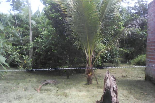 Terreno - Foto 5