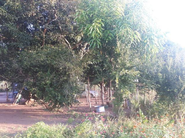 Sitio próximo do manso - Foto 3