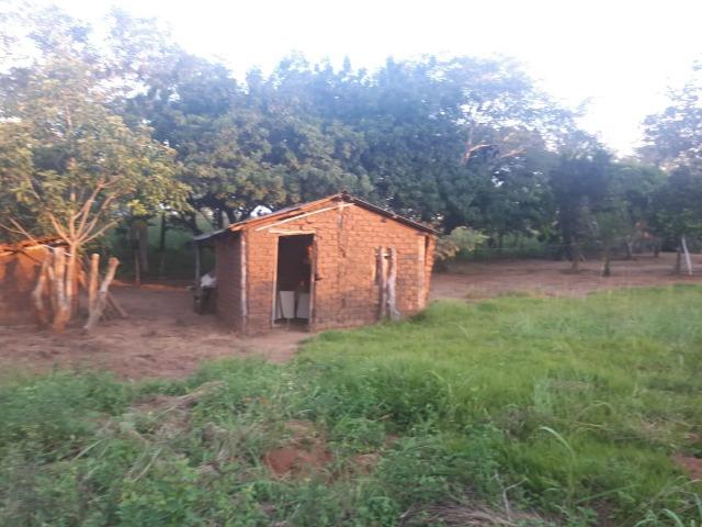 Sitio próximo do manso - Foto 19