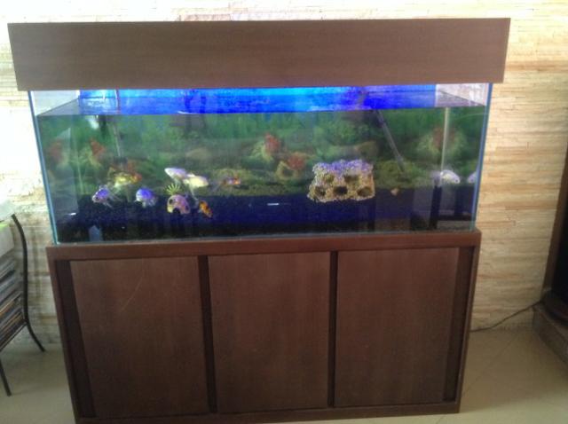 Vendo ou Troco Aquário Completo 450 litros. não tenho espaço para o aquário. - Foto 2