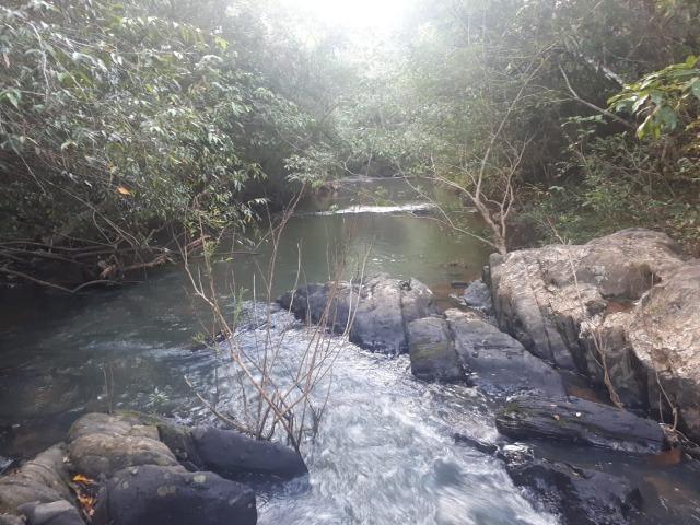 Sitio próximo do manso - Foto 10