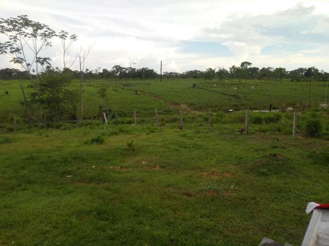 Vendesse um colônia estrada de porto acre ramal pira pora 28 km de ramal - Foto 3