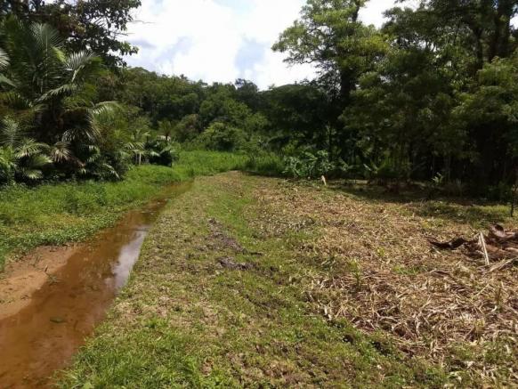 Terreno - São Jõao da Graciosa - Morretes - Foto 4