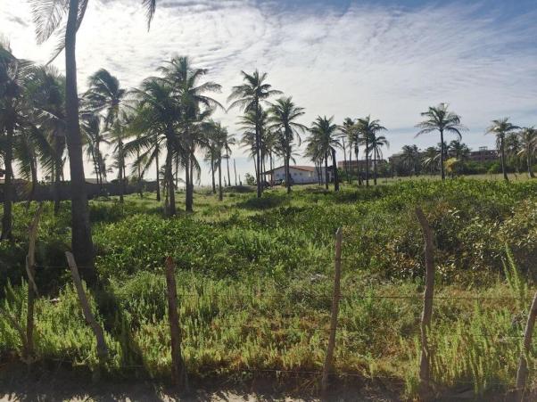 Casa à venda com 5 dormitórios em Flexeiras guajiru, Trairi cod:CA0027 - Foto 10