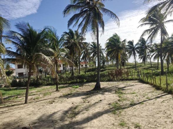 Casa à venda com 5 dormitórios em Flexeiras guajiru, Trairi cod:CA0027 - Foto 9