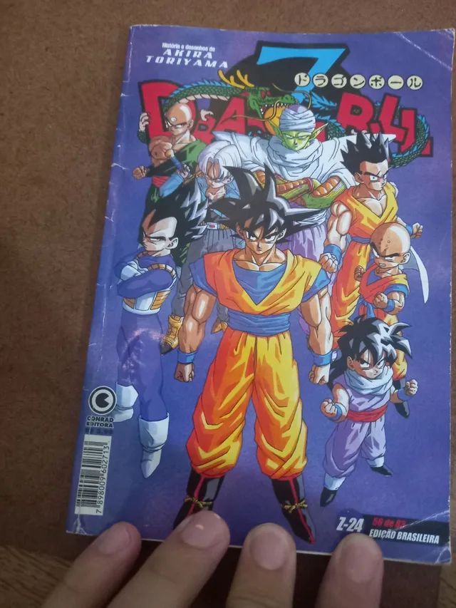 Figura de Acrilico Dragon Ball Z - Manga Livre RS