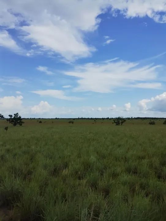 foto - Boa Vista - Santa Luzia