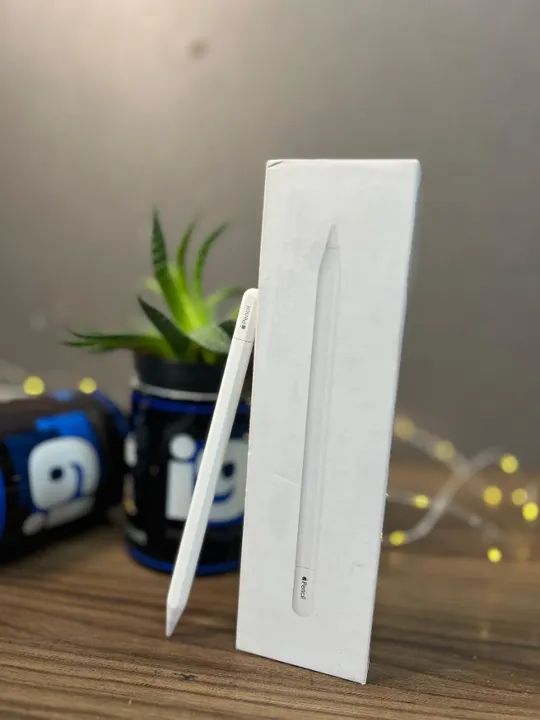 Apple Pencil (USB-C) Model A3085 Acompanha caixa 3 meses de