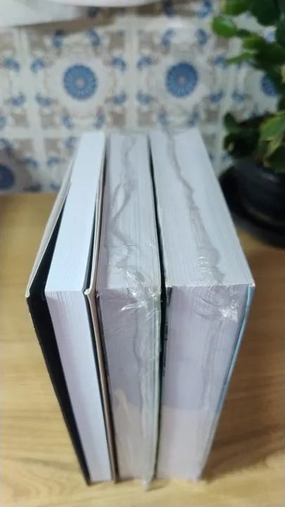 A formação da classe operária inglesa, Volumes 1, 2 e 3 (Completo) NOVO/LACRADOS - Foto 5