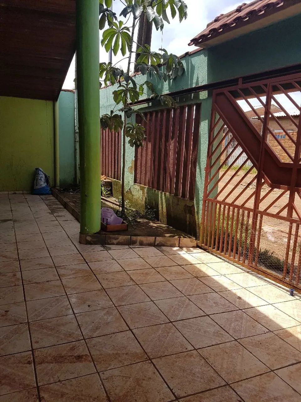 Foto - Porto Velho - Castanheira