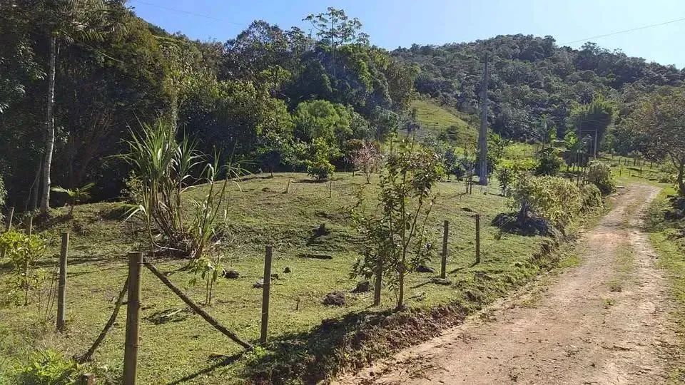 Lindo sítio de 5 hectares sendo 100x500 no bairro Espanha, três riacho Biguacu com casa. - Foto 10