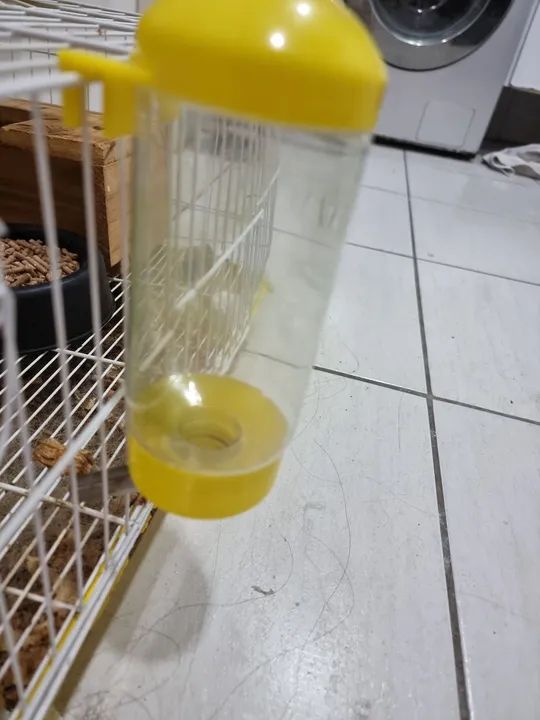 Ração para roedores PIC NIC 1,8kg - Coelhos, Porquinho da india e ramster + BRINDES - Foto 2