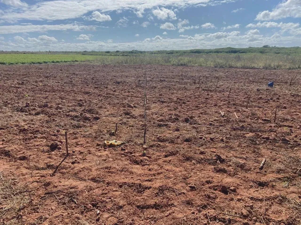 fazenda com 3.091 hectares na região de touros - Foto 2