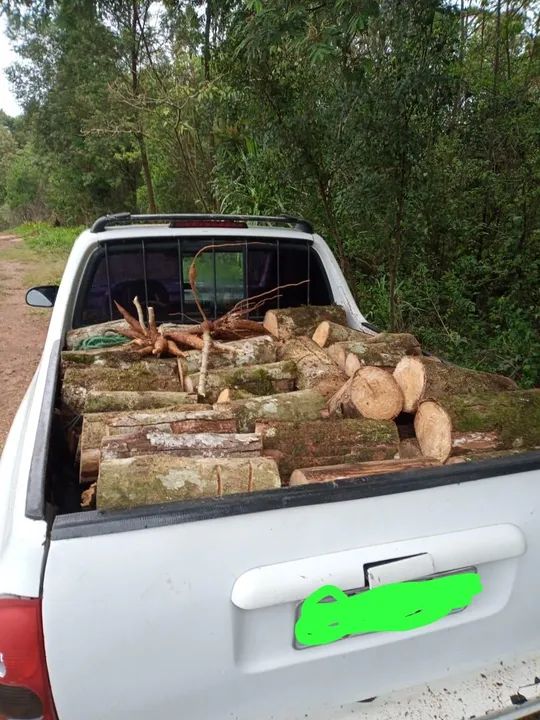 Lenha para venda - Foto 3