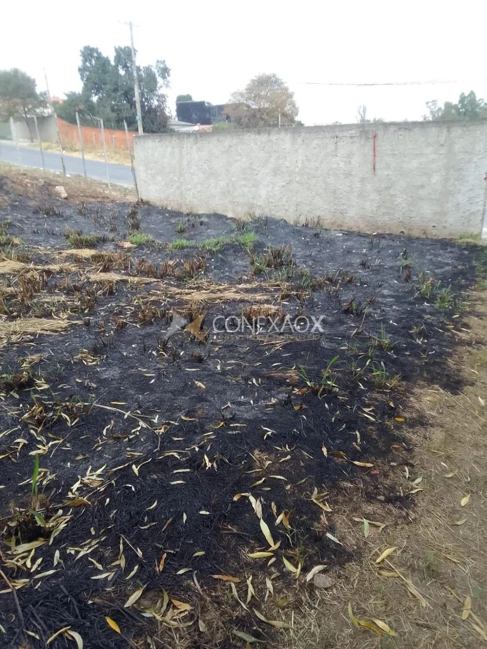 terreno - Cidade Satélite Íris - Campinas