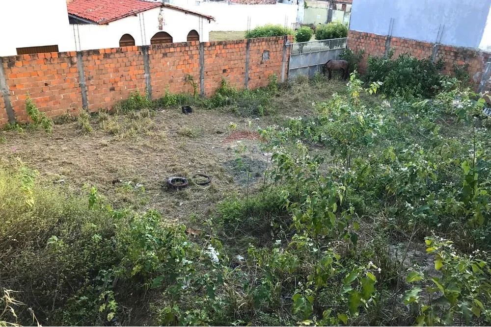 Vendo Terreno Murado para investimento no Dezoito do Forte - Foto 3