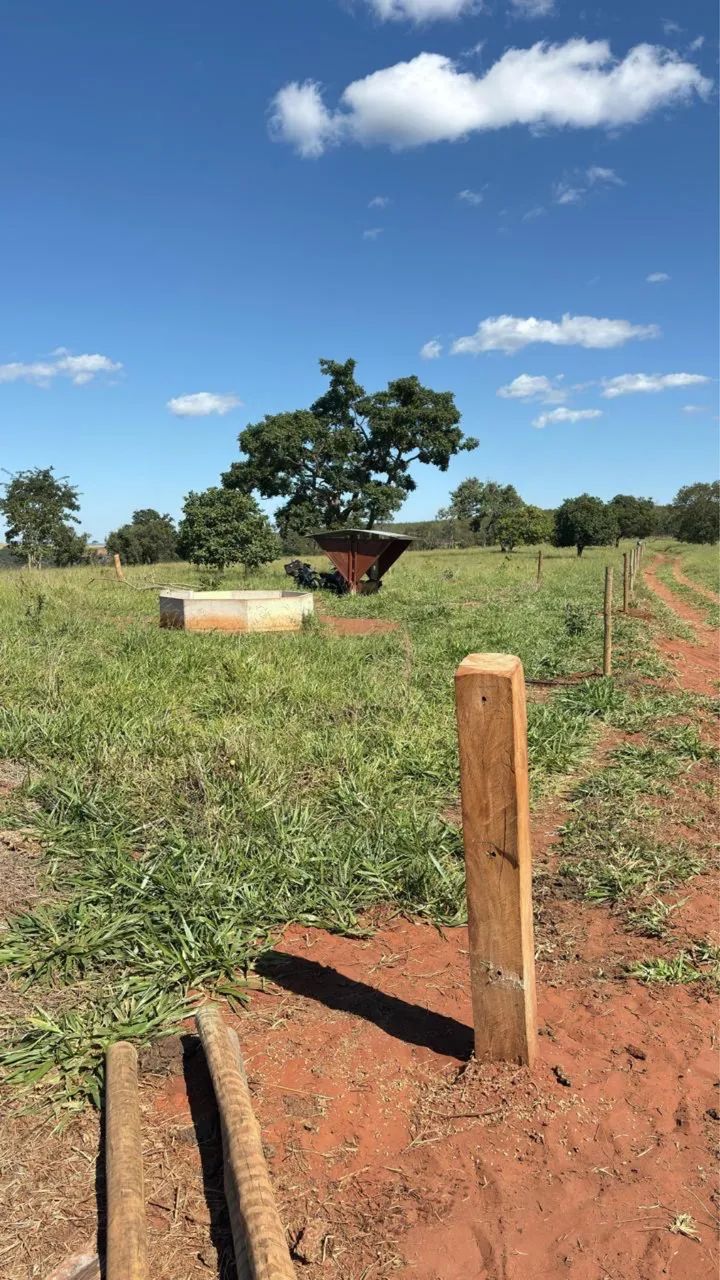 Fazenda à venda município de Gurinhata  - Foto 2
