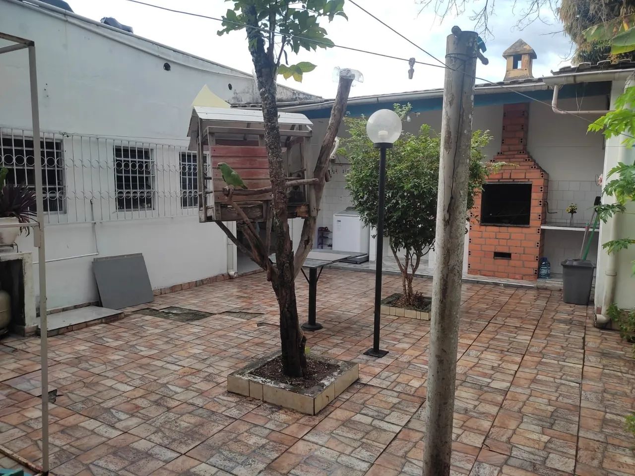 Foto - Manaus - Centro