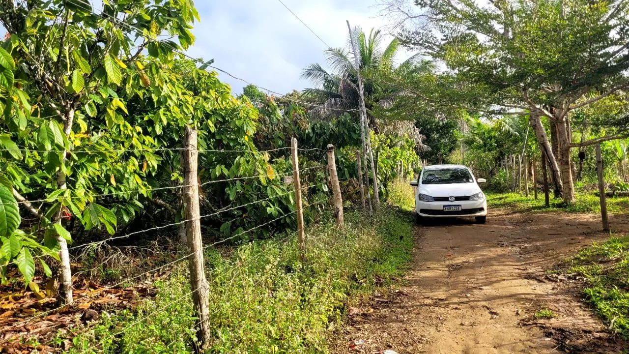 Vendo sítio em Valença Bahia  - Foto 3