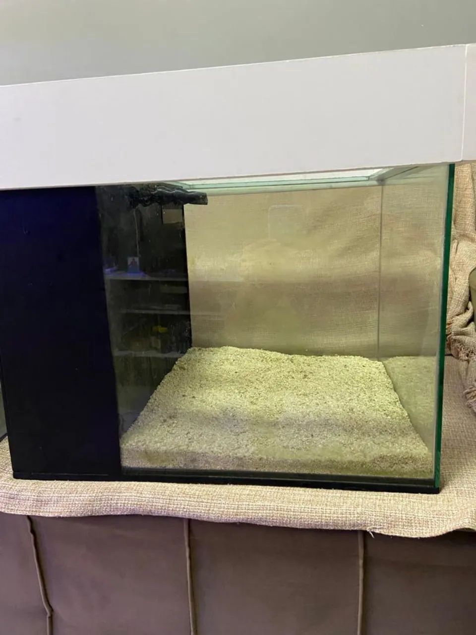 Aquário marinho com móvel  - Foto 5