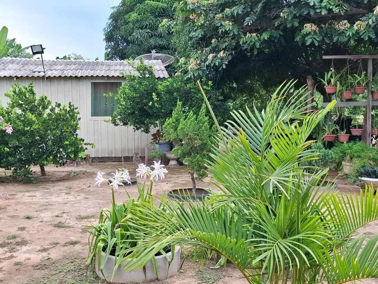  Vendo ou troco chácara 100X386m; área da vila Nova Esperança, Bonfim, há 52 km/Boa Vista.