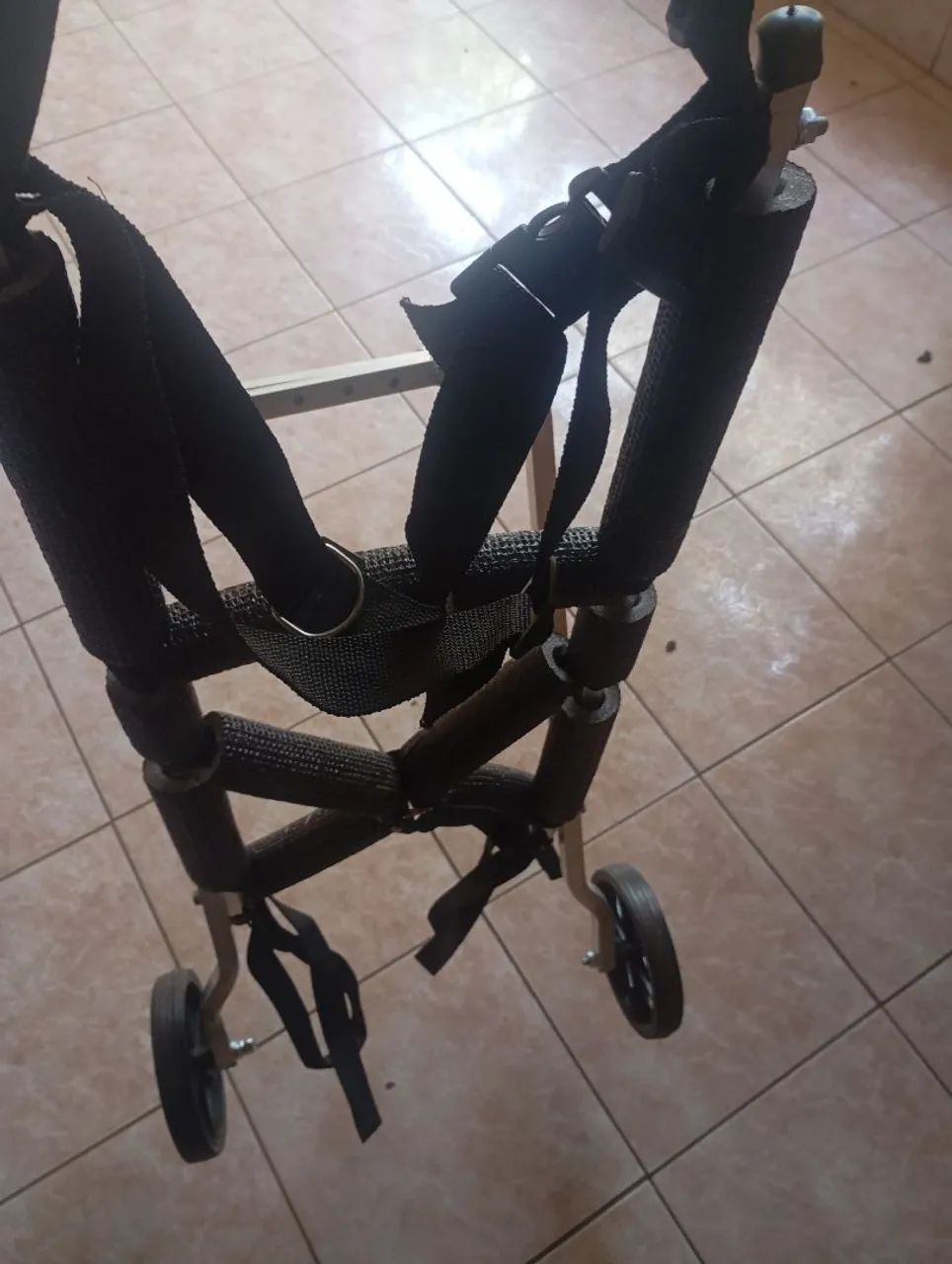 Carrinho para cachorro amputado - Foto 2