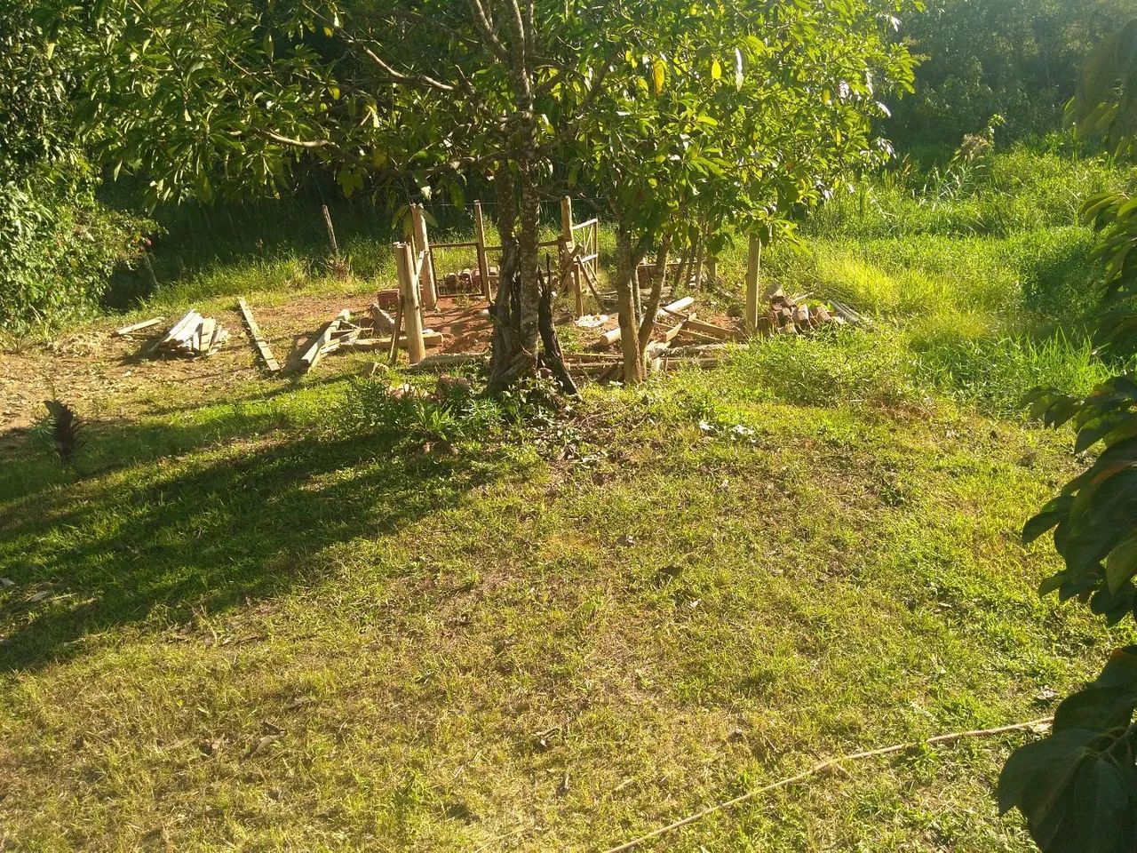 GRANJA ENTRADA E MAIS PARCELAS - Foto 4
