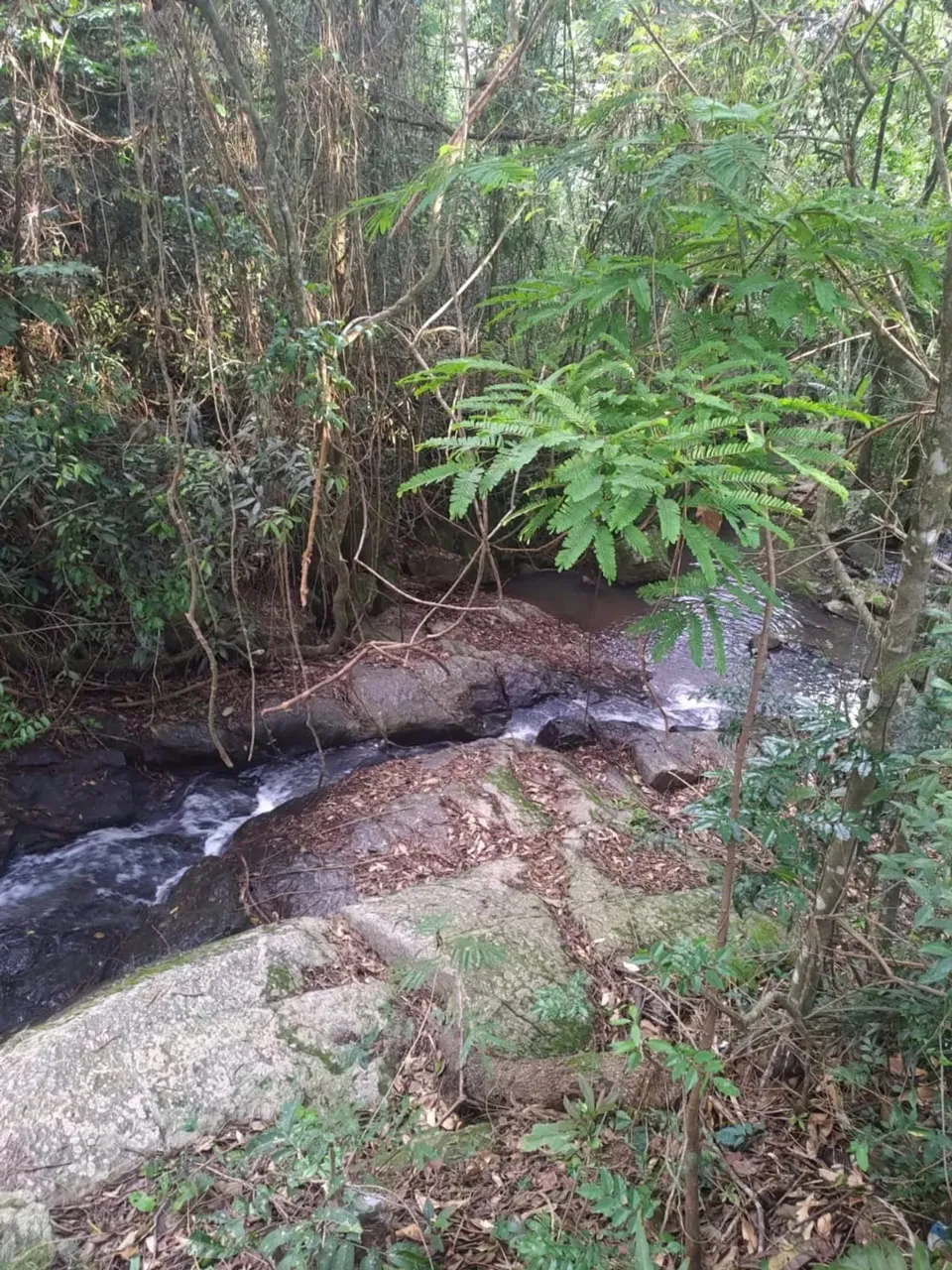 1m terreno para venda com 1200 metros quadrados em Águas de Igaratá - Igaratá - SP
