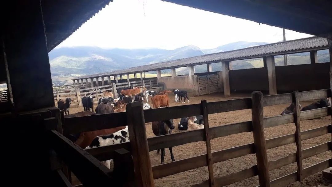 Fazenda de 505 hectares com curral completo e várias nascentes em Aiuruoca - MG. - Foto 4