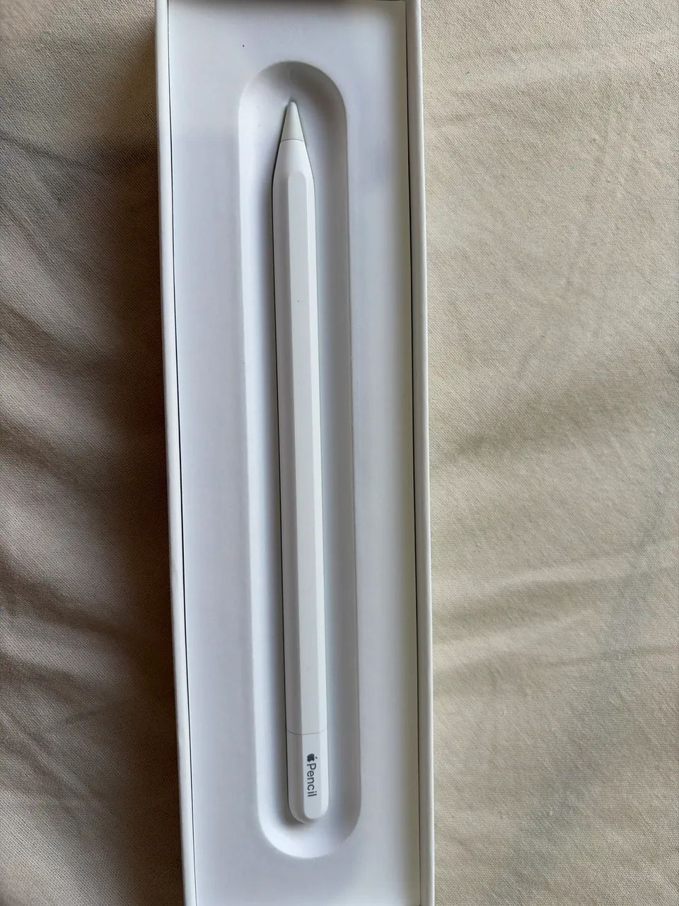 Apple Pencil (USB-C) 中古 Apple Pencil USB-C - Acessórios de Celular - Lagoa Nova, Natal