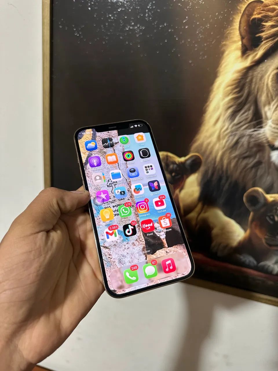 IPhone 12 Pro Max 