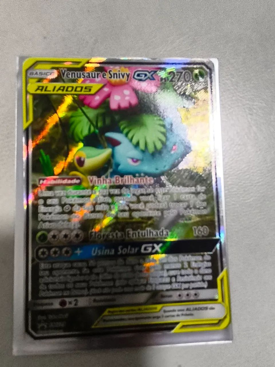 Venusaur e Snivy