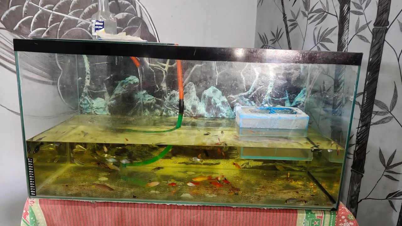 Aquário R$ 390