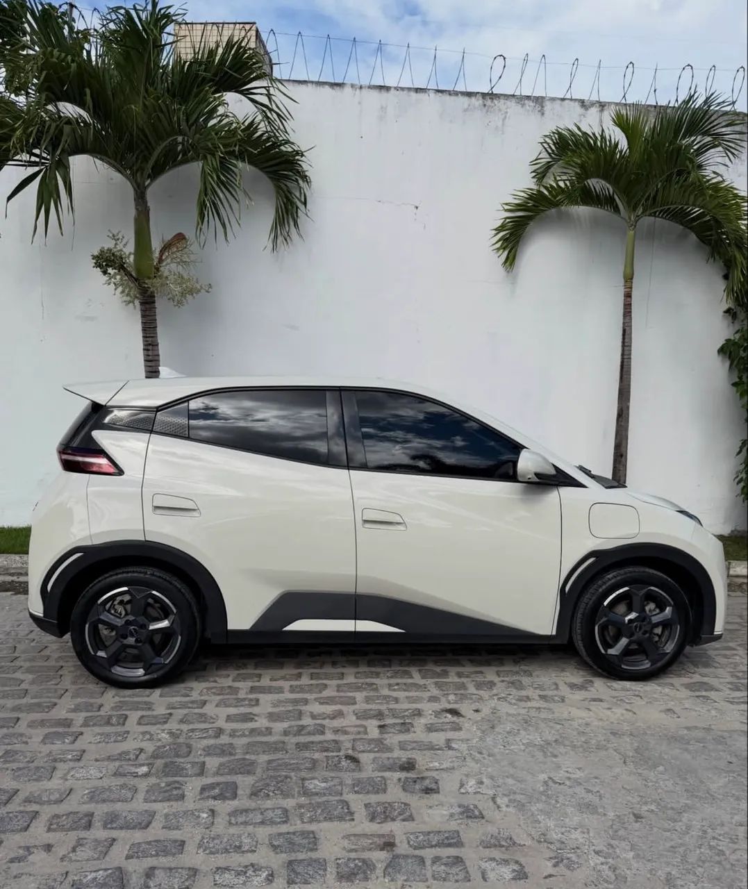 BYD Dolphin Mini (Elétrico) 2026 - Foto 2
