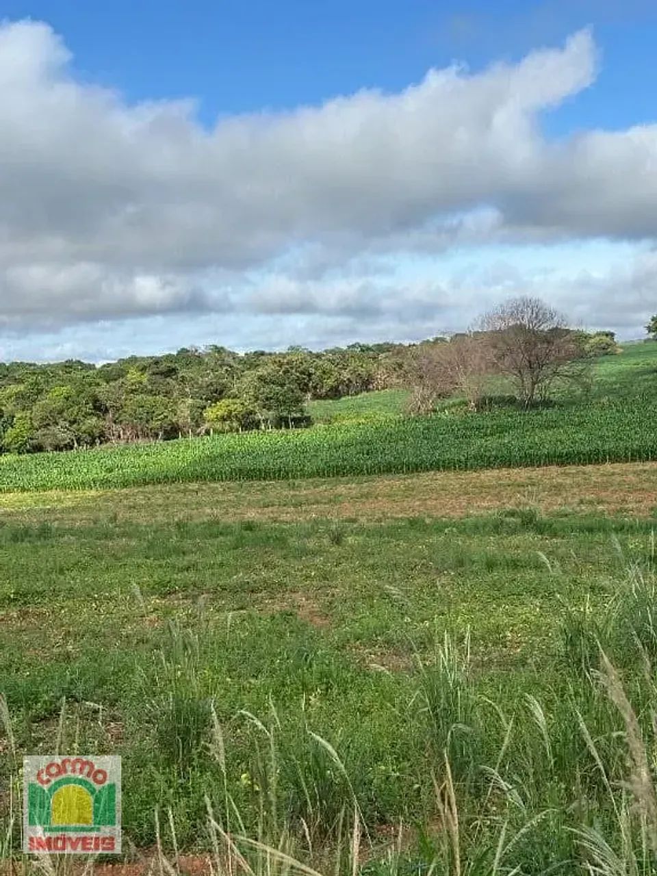 CHACARRA DE 7.000m2-ESCRITURADA. - Foto 4