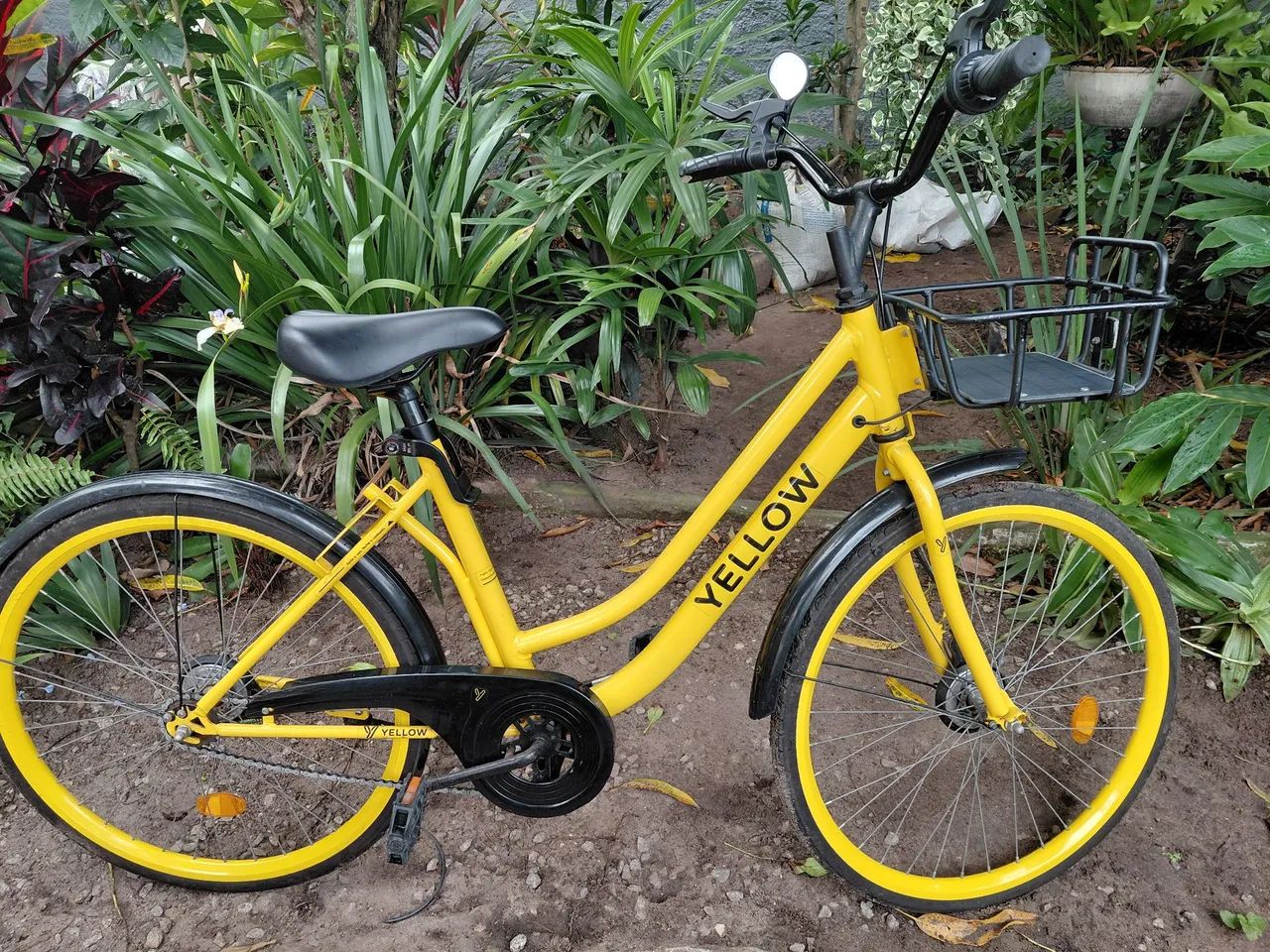 Bicicleta 
