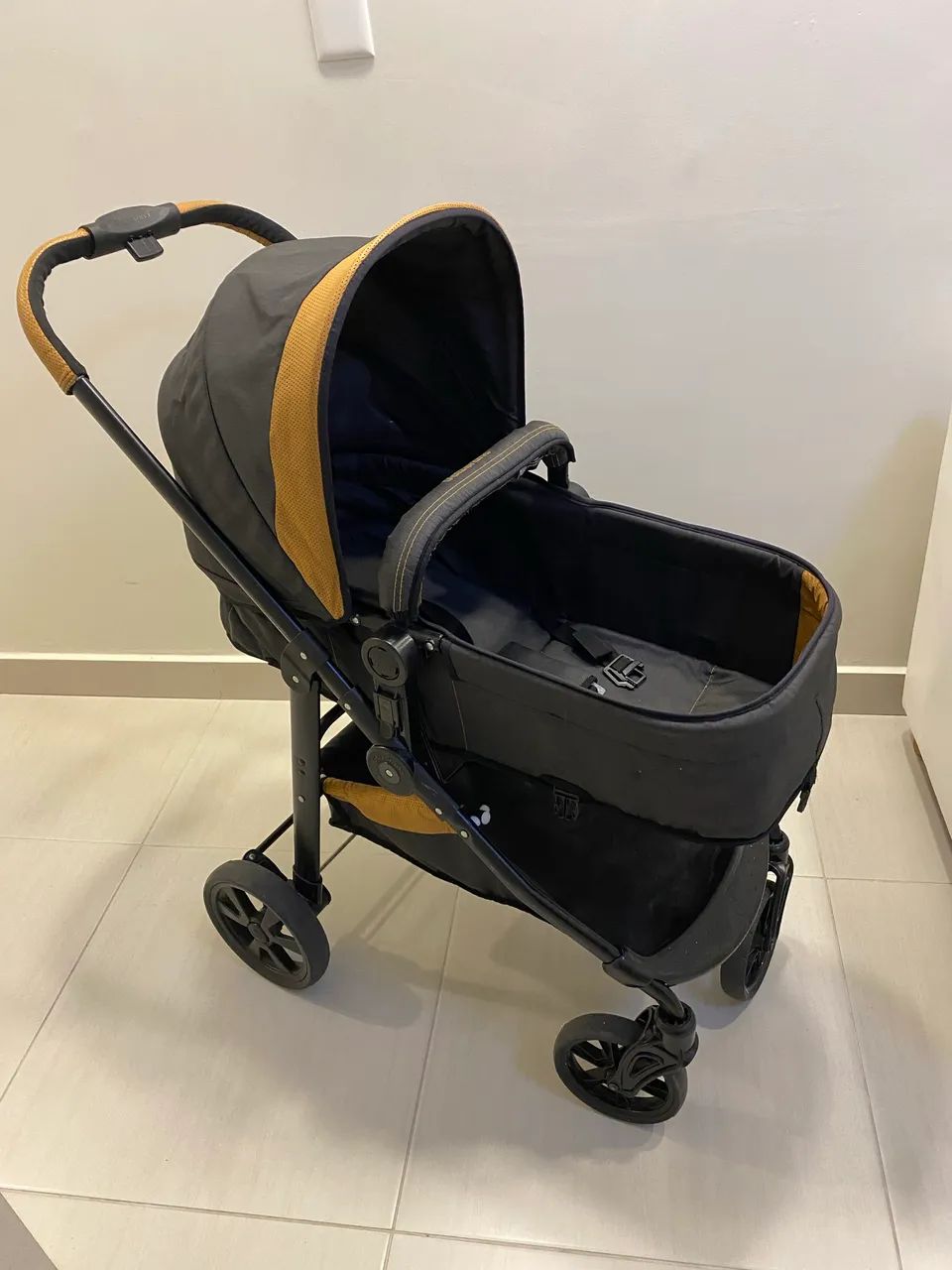 Carrinho de bebê Moisés Galzerano