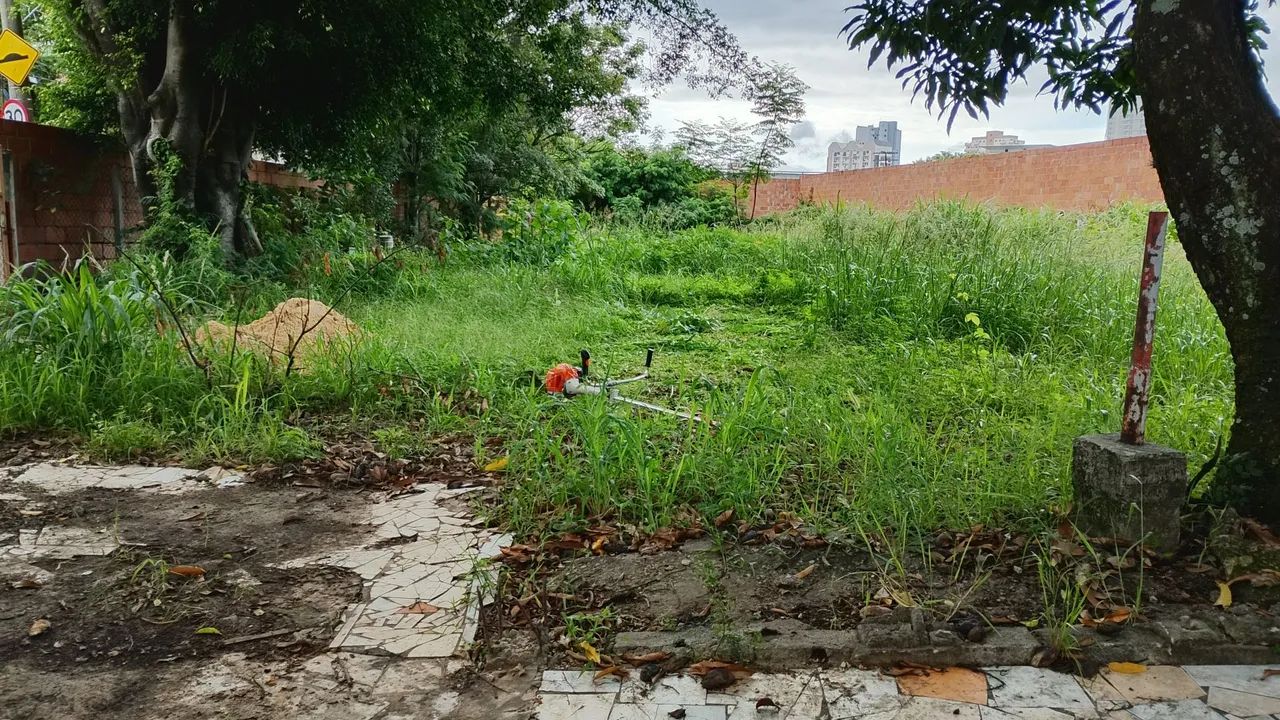 Manutenção de jardim, e serviço de roçagem. - Foto 2